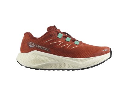 L47915000 0 GHO AERO BLAZE 3 GRVL WBurnt Ochre.png.cq5dam.web.1200.1200